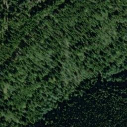 Vue satellite de Flohhütte à Wangenbourg-Engenthal