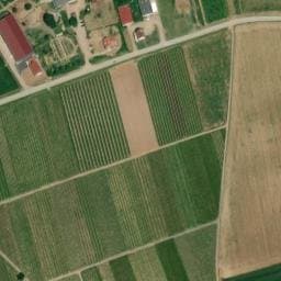 Vue satellite de Aire de stationnement France Passion Domaine Thierry-Martin à Wangen