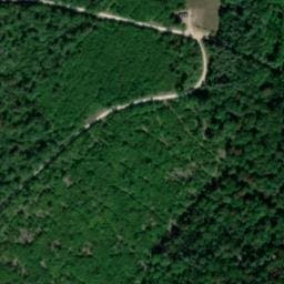 Vue satellite de Abri du Chalet forestier de Bulligny à Bulligny