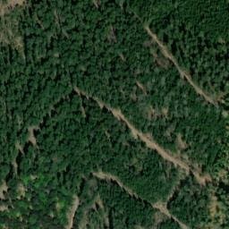 Vue satellite de Source de la Charaille à Raon-lès-Leau