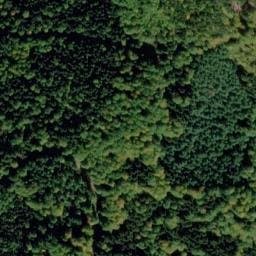 Vue satellite de Abri du Purpurkopf à Mollkirch