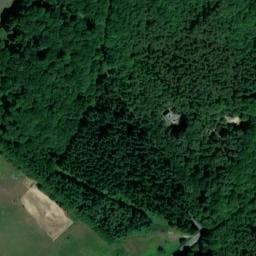 Vue satellite de Camping les Bruyères à La Chapelle-Montligeon