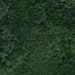 Vue satellite de Cabane du Chène de la Vierge à Bertrichamps