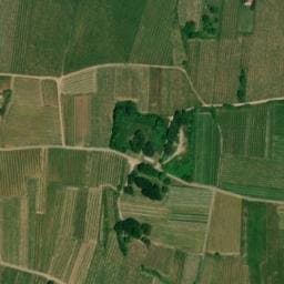 Vue satellite de Abri du Rippelholz à Mittelbergheim