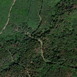 Vue satellite de Kaltenberg à Dieffenthal