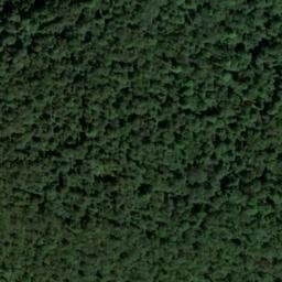 Vue satellite de Cabane abri de la foret (cabane à René) à Doulaincourt-Saucourt