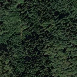 Vue satellite de Schützenhütte à Rhinau