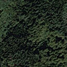 Vue satellite de Refuge/Abri — Rhinau à Rhinau