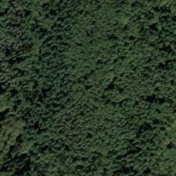 Vue satellite de Rennweghütte à Rhinau