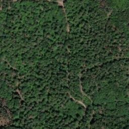 Vue satellite de Point d'eau à Kintzheim