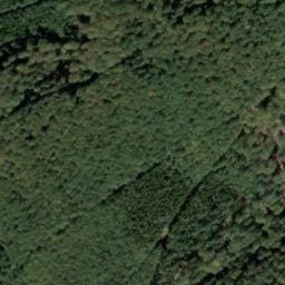 Vue satellite de Cabane de ??? à Rhinau