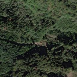 Vue satellite de Wallburger Hütte à Rhinau