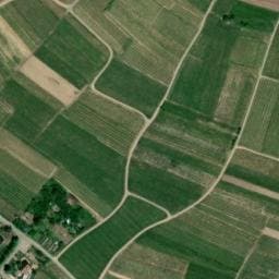 Vue satellite de Allée des Cygnes Saint-Hippolyte à Kintzheim