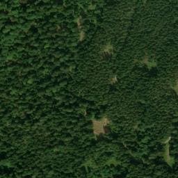 Vue satellite de Cabane de l'Etang à Gerbépal
