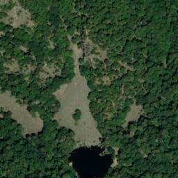 Vue satellite de Abri de Fichboedle à Muhlbach-sur-Munster