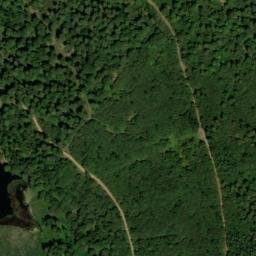 Vue satellite de Source du Collet de l'Etang à La Bresse