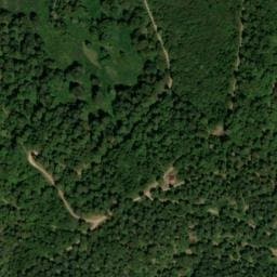 Vue satellite de Chalet du Collet de l'Etang à La Bresse