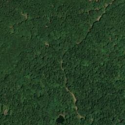Vue satellite de Abri du Chemin Renaud à Mittlach