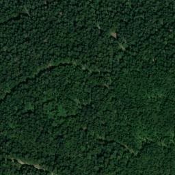 Vue satellite de Refuge des Roncis à Cornimont