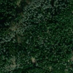Vue satellite de Chalet Domanial de la Vrille à Vecoux