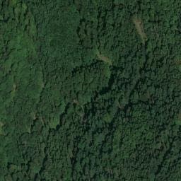 Vue satellite de Cabane Jeannot à Lautenbachzell