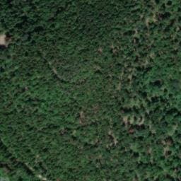 Vue satellite de Abri du Wolfsgrube à Murbach
