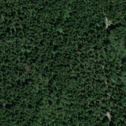 Vue satellite de Abri de la Cage des Rouleux à Le Ménil