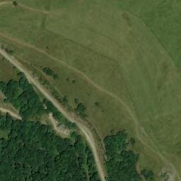 Vue satellite de Chalet Saint-Antoine à Ranspach
