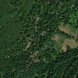 Vue satellite de Chalet forestier du Bonhomme à Le Ménil