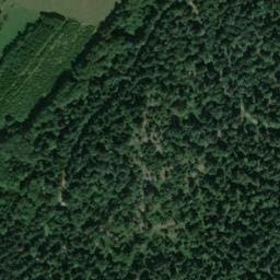 Vue satellite de Chalet forestier des Hauts du Mont à Saint-Bresson