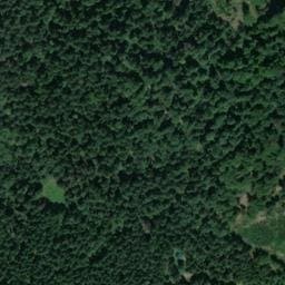 Vue satellite de Abri des Peugueux à La Longine