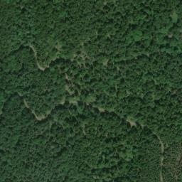 Vue satellite de Abri de Holzwasen à Rimbach-près-Guebwiller