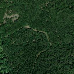 Vue satellite de Chalet de L'Union à Bussang