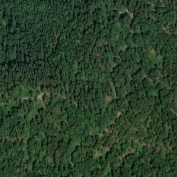 Vue satellite de Abri des Dreimarkstein à Mitzach