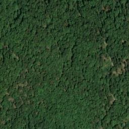 Vue satellite de Chalet la Mésange à Moosch
