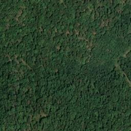 Vue satellite de Abri du Becherkopf à Steinbach