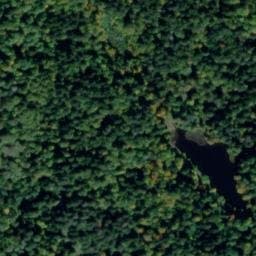 Vue satellite de Abri forestier de l'etang du petit haut à Lepuix