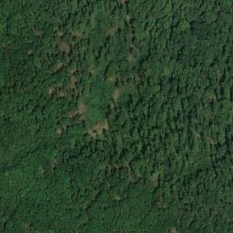 Vue satellite de Abri Baumann du Weierlé à Rammersmatt