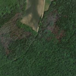 Vue satellite de Abri de la Pépinière de Montaubert à Auberive