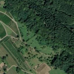 Vue satellite de Brunnen (2) à Chalampé