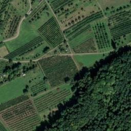 Vue satellite de Manne Brünnli à Petit-Landau