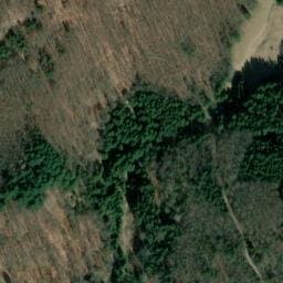 Vue satellite de Wasenhütte à Rosenau