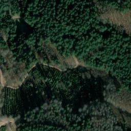 Vue satellite de Rehhütte à Rosenau