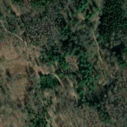 Vue satellite de Karl-Schleith-Hütte à Rosenau