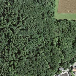 Vue satellite de Waldhütte im Kaiser à Huningue