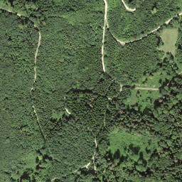 Vue satellite de Waldhütte im Spitzgrabe à Huningue