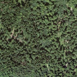 Vue satellite de Waldhütte Schöneberg à Huningue
