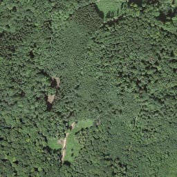 Vue satellite de Waldhütte Felsehau à Huningue