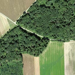 Vue satellite de Forsthaus Birlibänz à Neuwiller