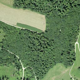 Vue satellite de Brunnen Eselhalle à Neuwiller